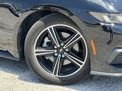 2025 Ford Mustang EcoBoost