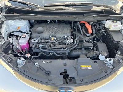 2025 Toyota Sienna XLE 7 Passenger