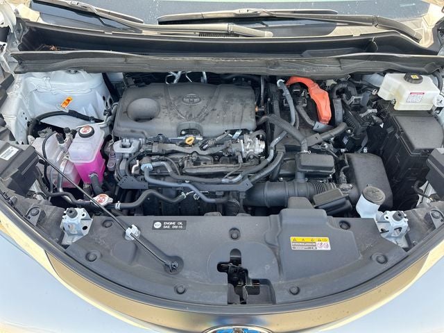 2025 Toyota Sienna XLE 7 Passenger