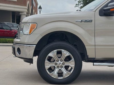 2010 Ford F-150 XLT