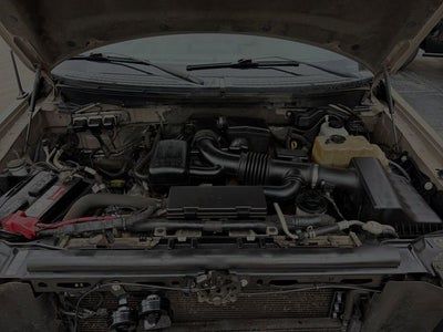 2010 Ford F-150 XLT