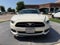 2015 Ford Mustang GT 50 Years Limited Edition