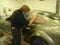 2005 Ford Mustang Foose Stallion Prototype